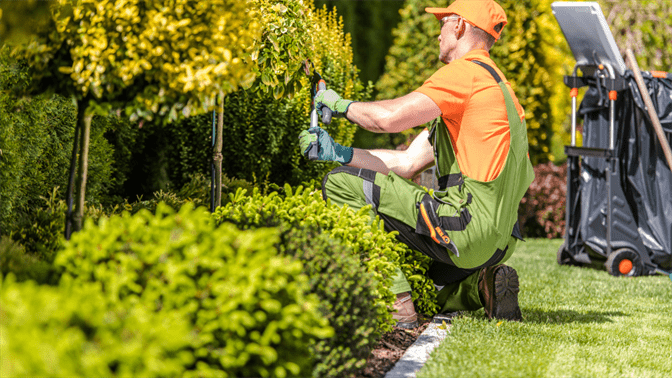 Entretien de jardin à Bettembourg